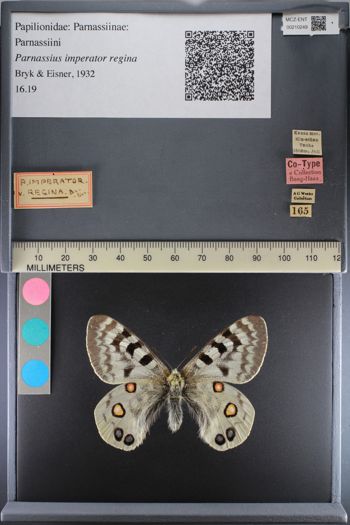 Media type: image;   Entomology 210249